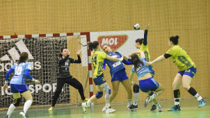 V MOL lize bude  devět  českých týmů