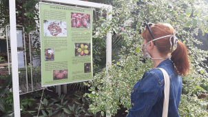 Roušky? Od zítřka povinně ve všech vnitřních prostorách!