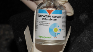 Nelegální obchod s veterinárními přípravky