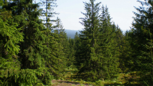 Počet přestupků v Brdech klesá