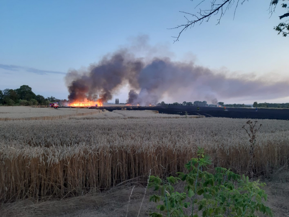 Při požáru pole na Kutnohorsku shořelo 53 hektarů obilí